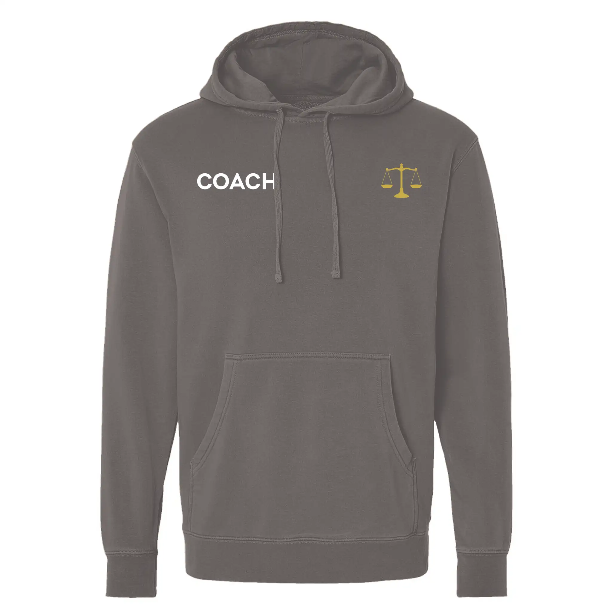 Coach Analytical Hoodie